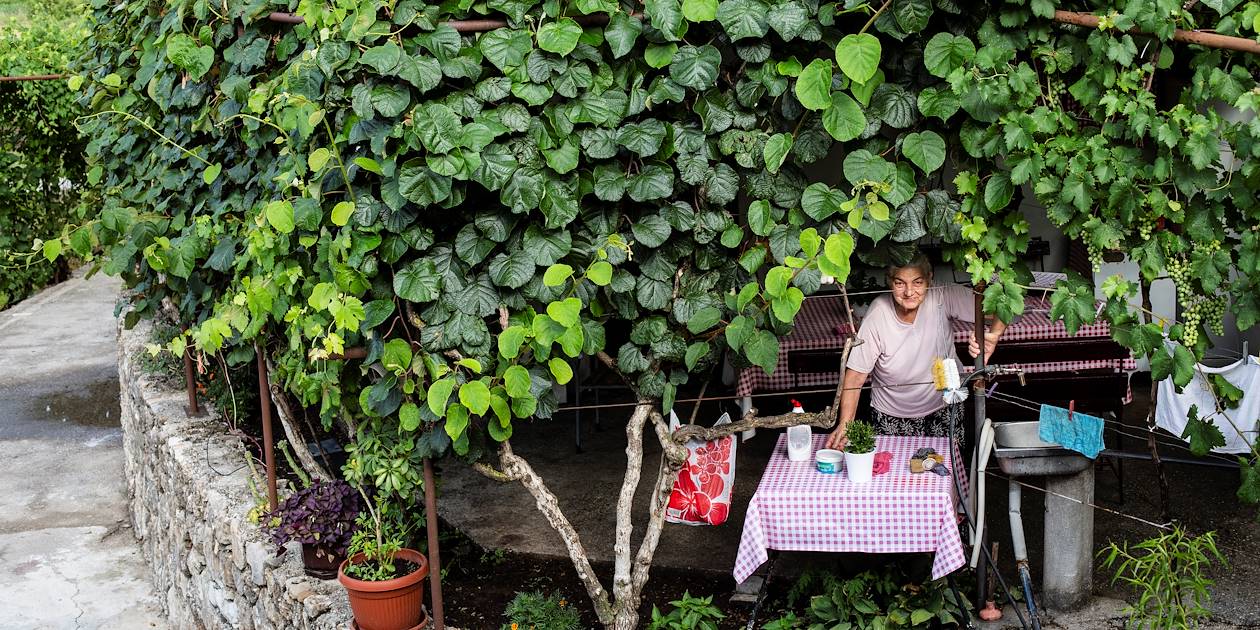 Terrasse ombragée d'un petit restaurant dans la région de Shkodër - Albanie