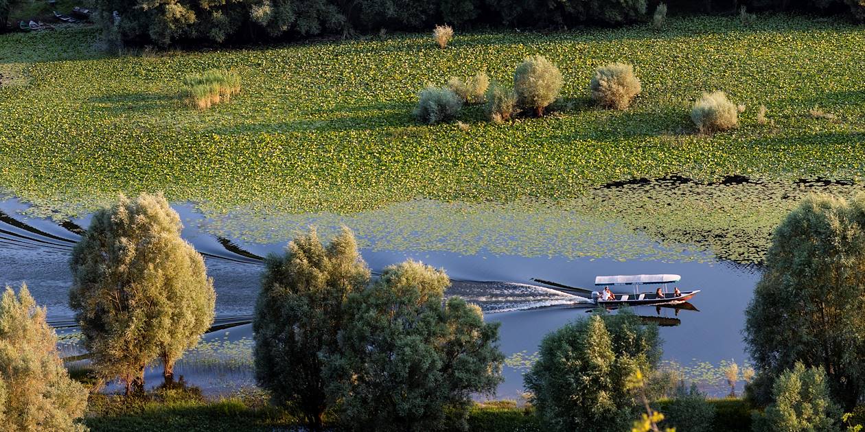 Découverte du lac de Shkodër en bateau - Albanie