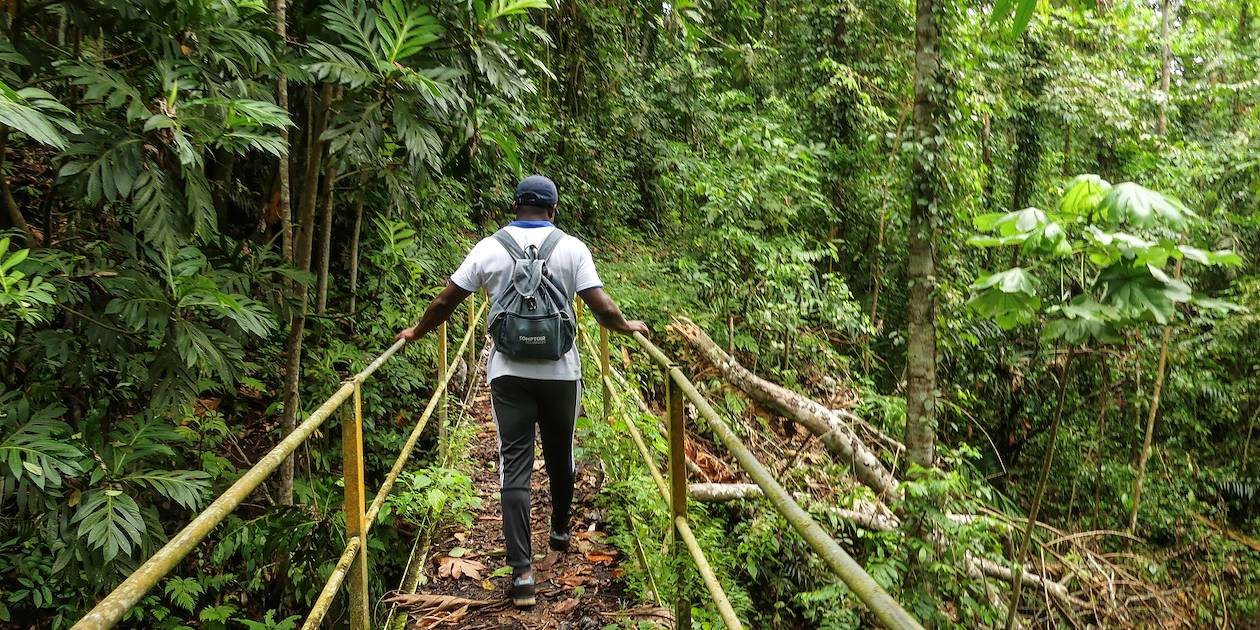 Randonnée "le parcours des tunnels" - Sao Tomé - Sao Tomé-et-Principe