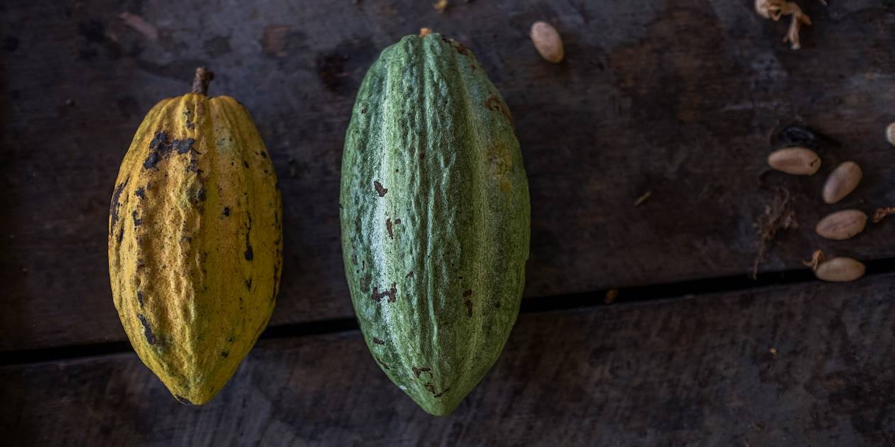 Cacao - Sao Tomé-et-Principe