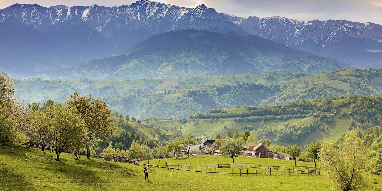 Scène de vie dans les Carpates - Transylvanie - Roumanie