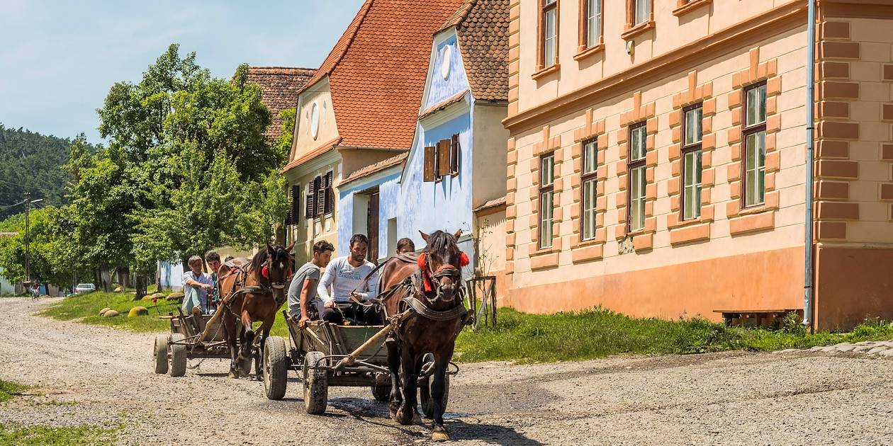 Charrettes dans le village de Viscri - Transylvanie - Roumanie