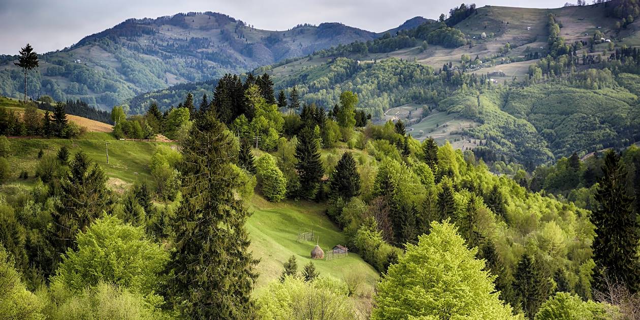 Région du Maramures - Transylvanie - Roumanie