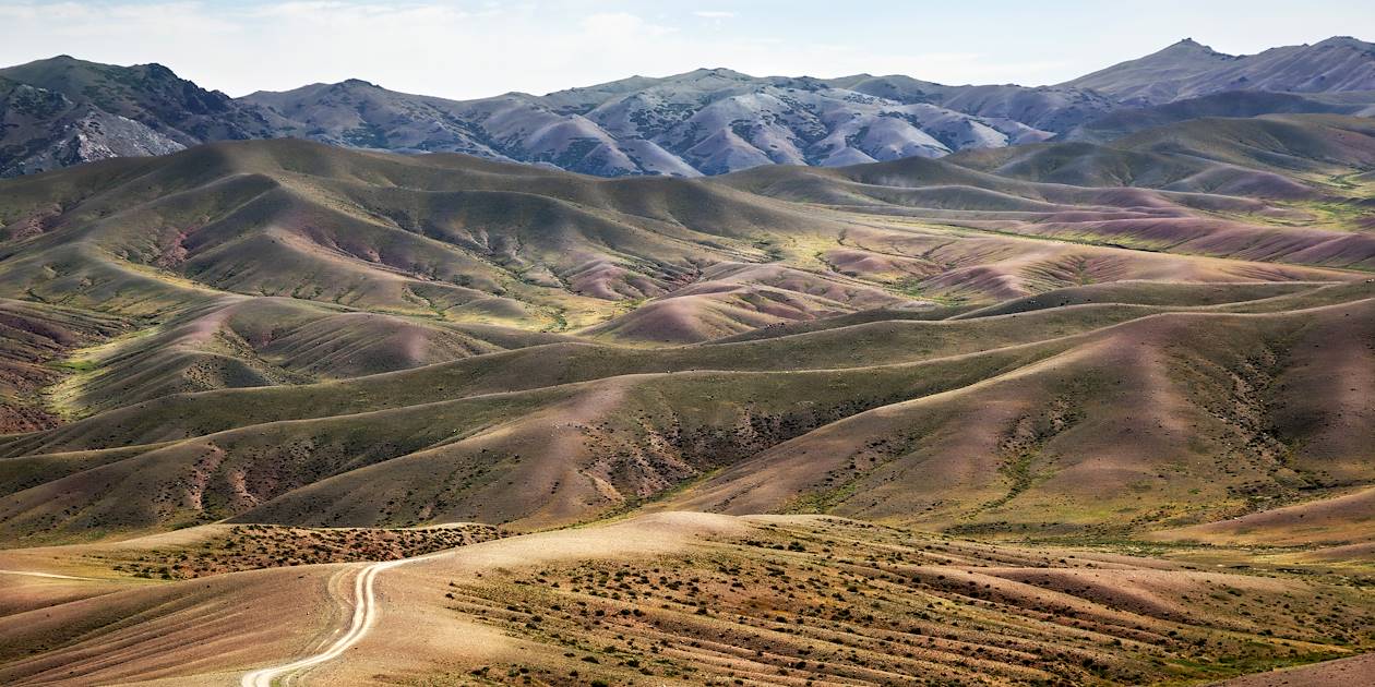 Désert de Gobi - Mongolie