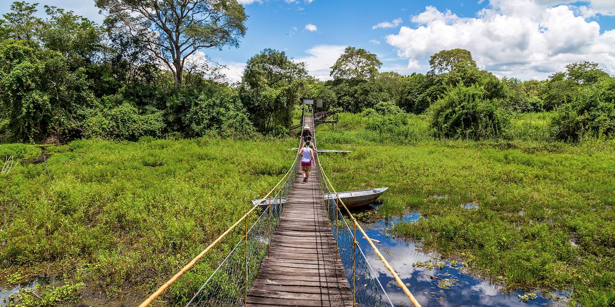 Pont en bois au dessus des marécages - Pantanal - Brésil