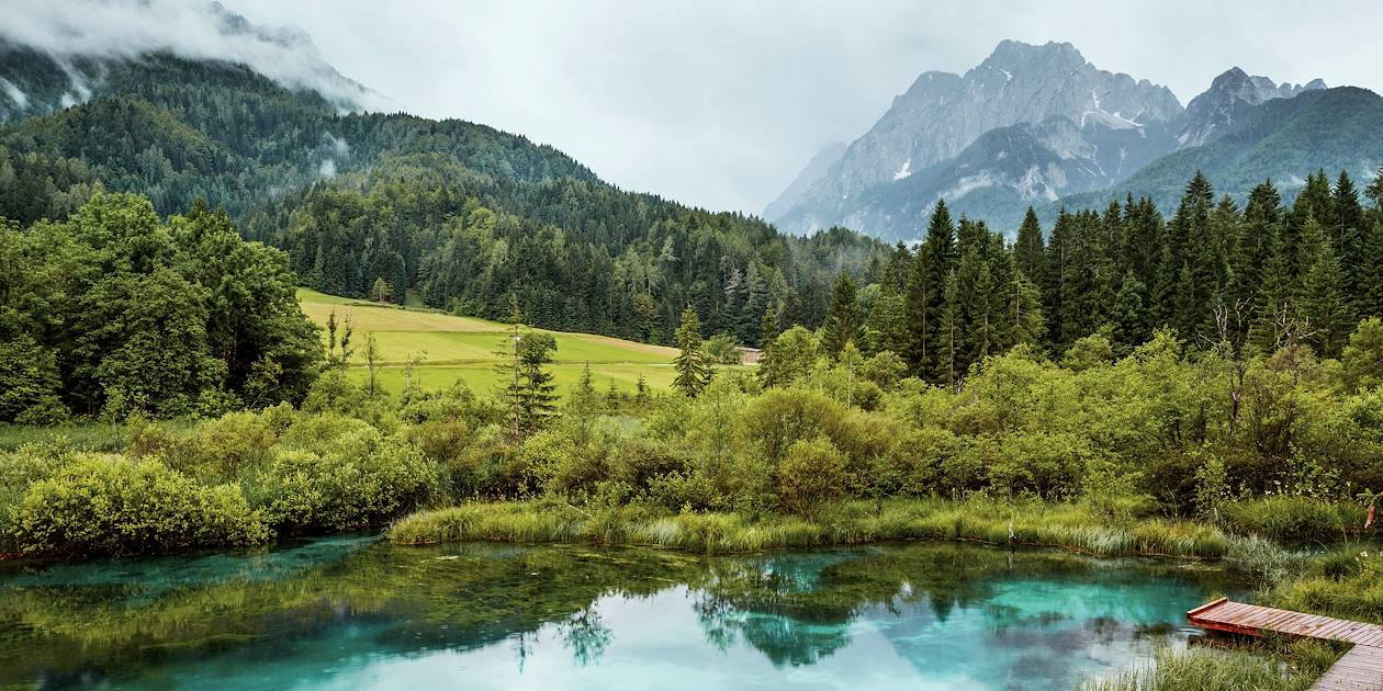 Réserve naturelle de Zelenci - Parc National de Triglav - Slovénie