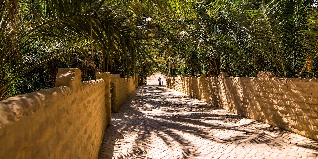 Au coeur de l'Oasis d'Al Ain : la Palmeraie - Al Ain - Emirats Arabes Unis