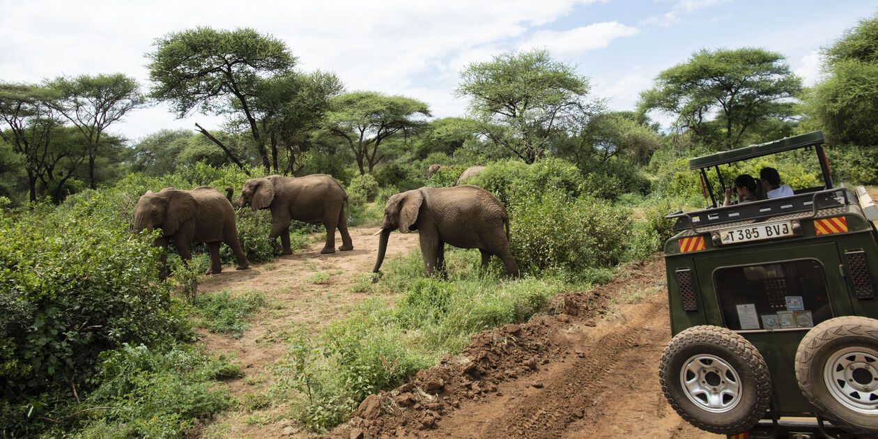 Découverte de la réserve de Hluhluwe-Umfolozi en 4x4 - KwaZulu-Natal - Afrique du Sud