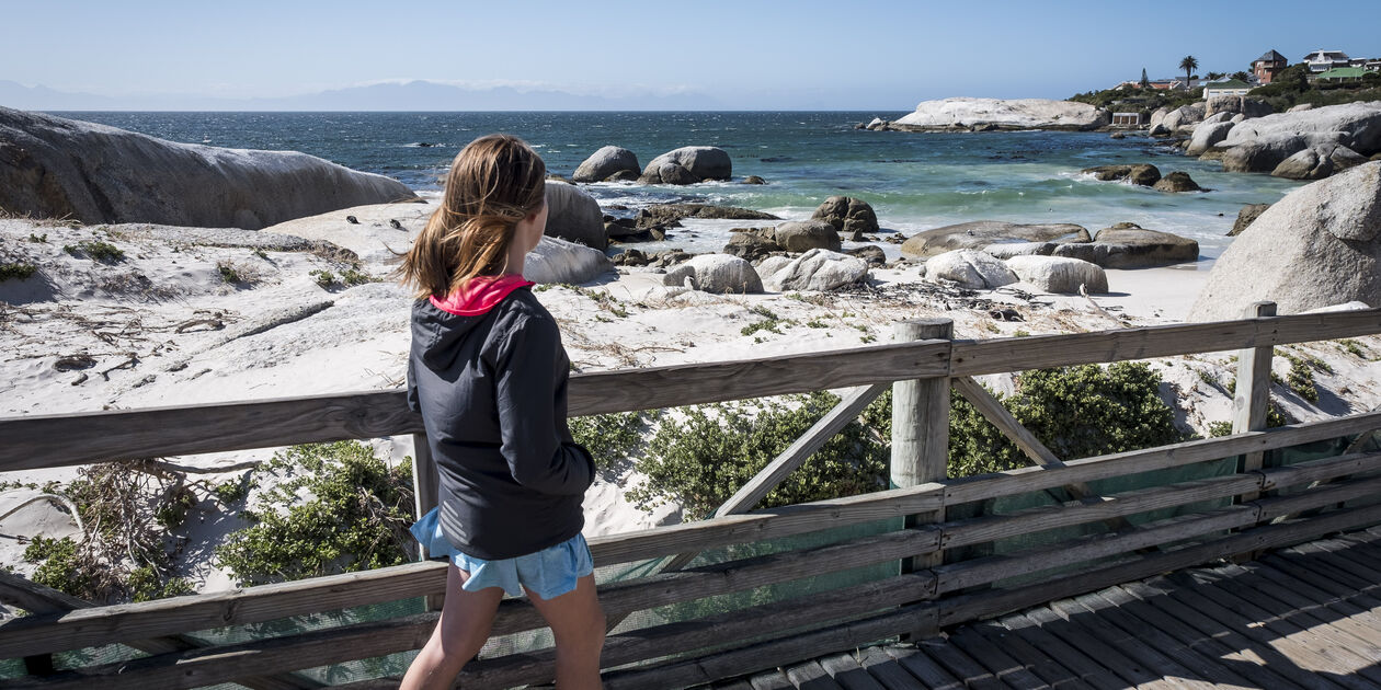 La Péninsule du Cap : observation des manchots sur la Boulders Beach - Le Cap - Afrique du Sud