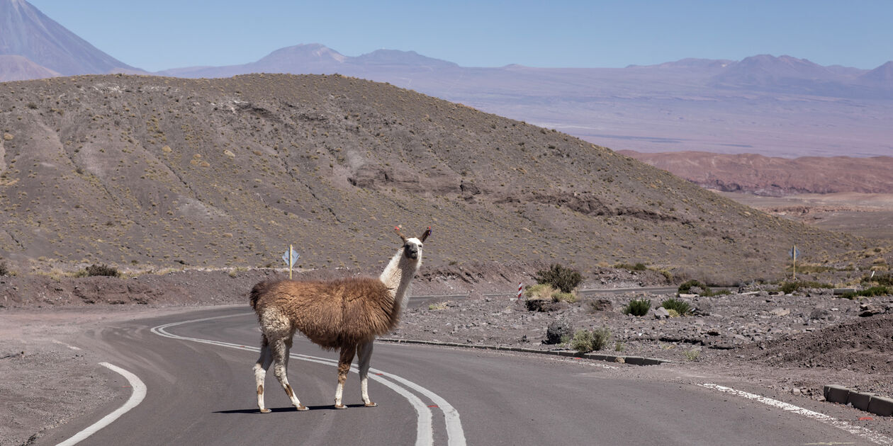 Road trip sur les routes spectaculaires d'Argentine