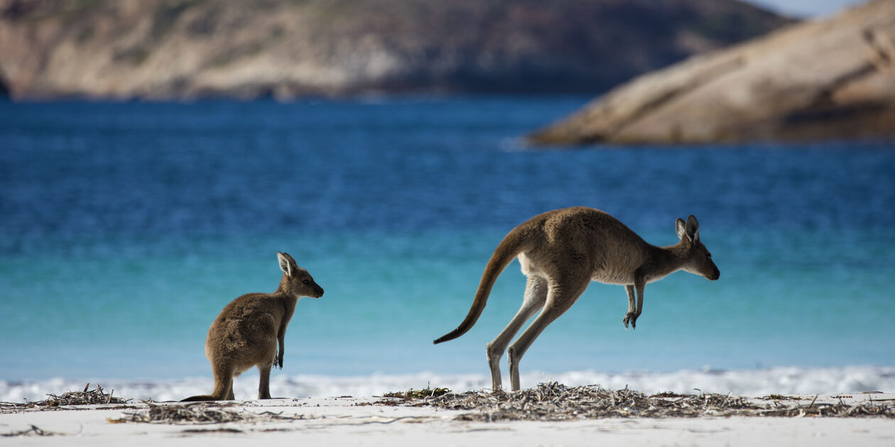 Cape Le Grand - Esperance - Australie