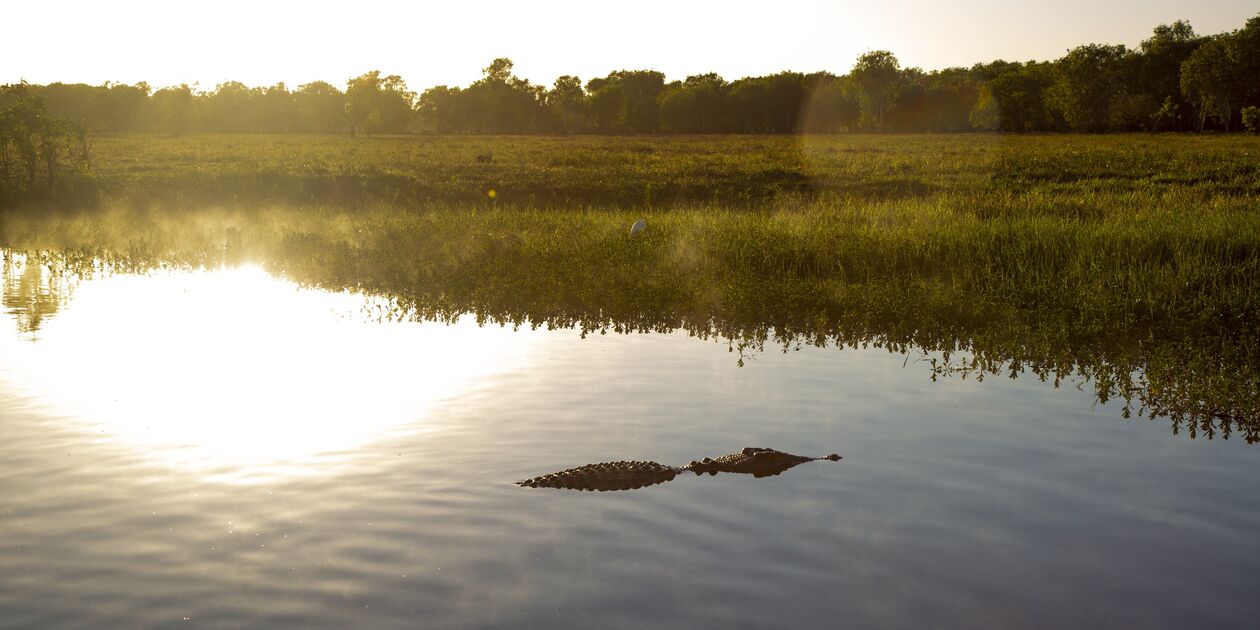 Croisière à Yellow Water Billabong, à la découverte des crocodiles - Parc National du Kakadu- Australie