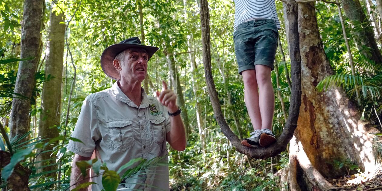 Observation de la faune et flore de la Rainforest - Cairns - Le Queensland - Australie