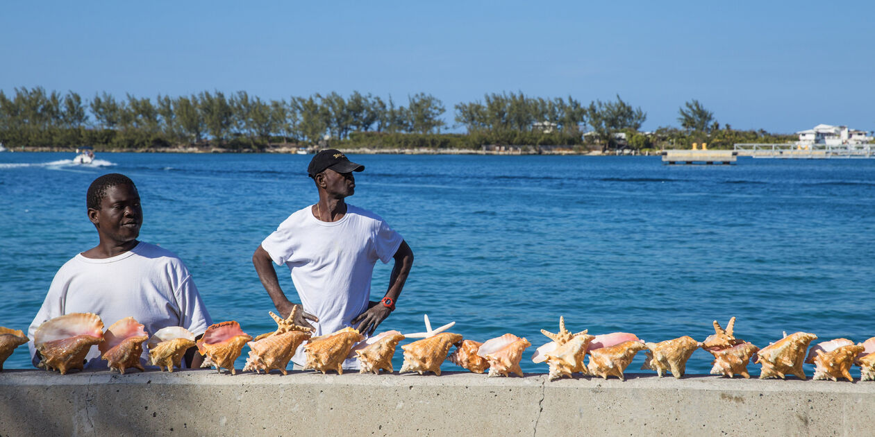 Vendeurs de conques sur le port de Nassau - Île de la Providence - Bahamas