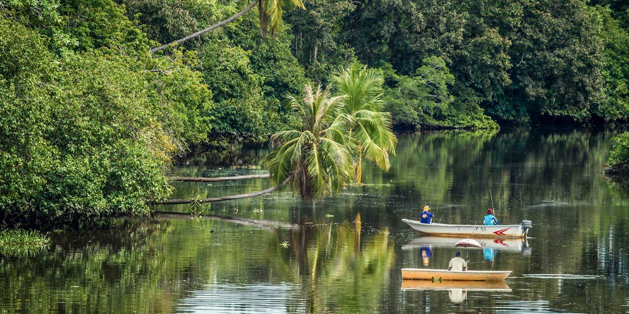 Scène de vie sur le fleuve Kinabatangan - Bornéo - Malaisie