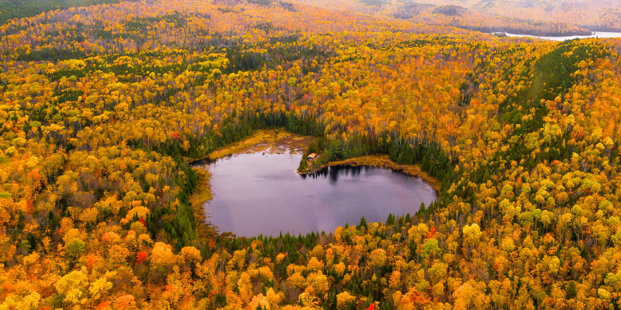 Parc national de la Mauricie en automne - Québec - Canada