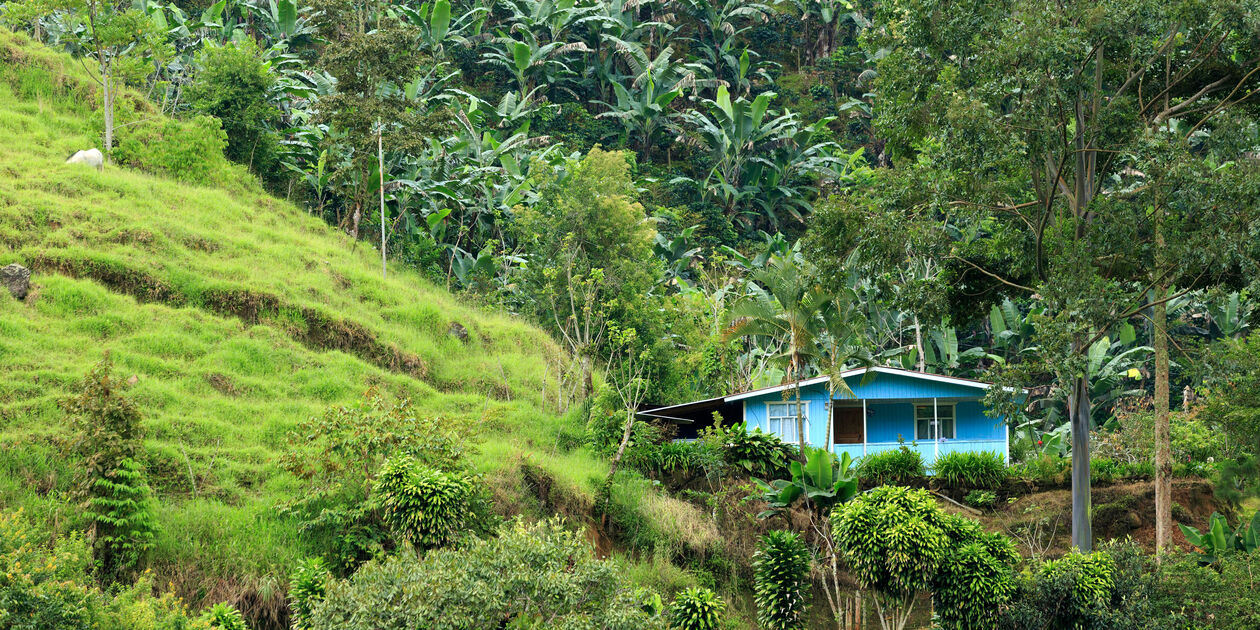 Finca dans une plantation de café de Cedral - Province de San José - Costa Rica