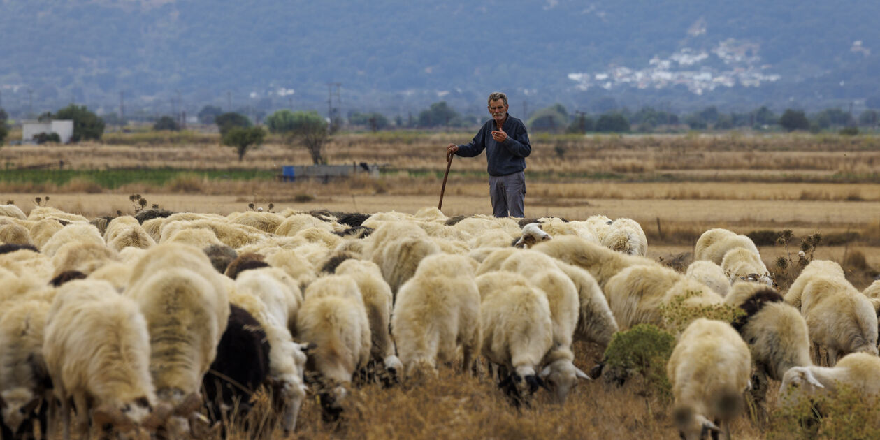 Rencontre avec les bergers du Plateau du Lassithi - Crète - Grèce