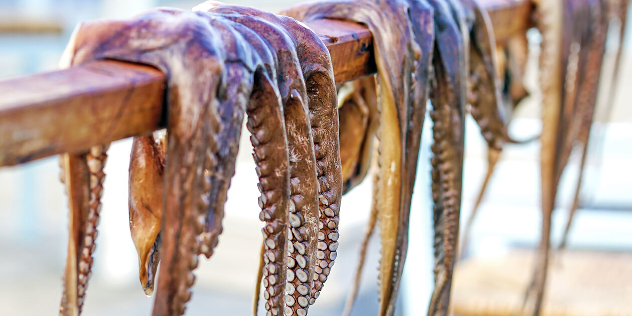 Poulpes qui sèchent - Grèce