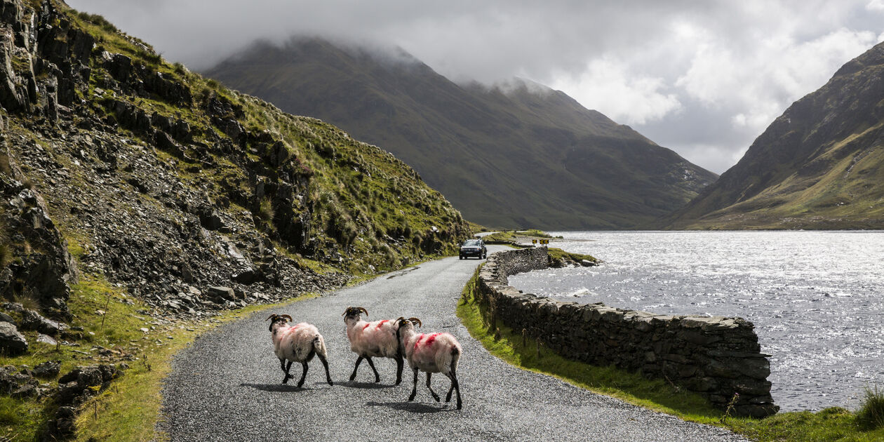 Paysage du Comté de Mayo - Doolough - Comté de Mayo - Connemara - Irlande