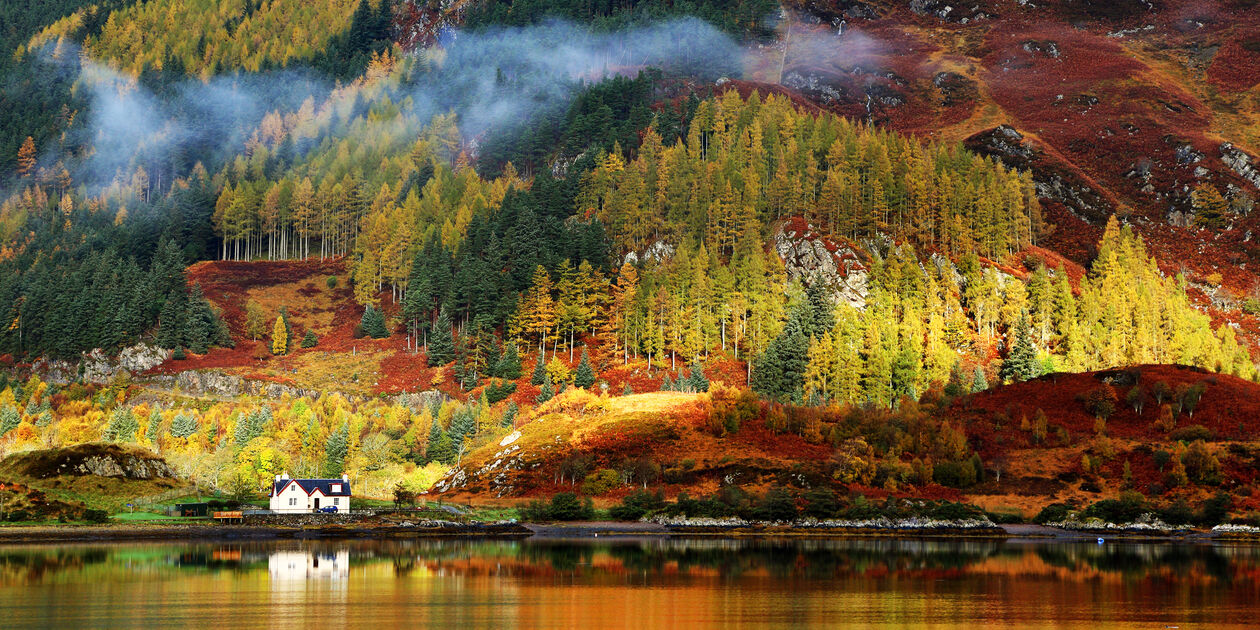 Couleurs automnales dans les Highlands - Ecosse