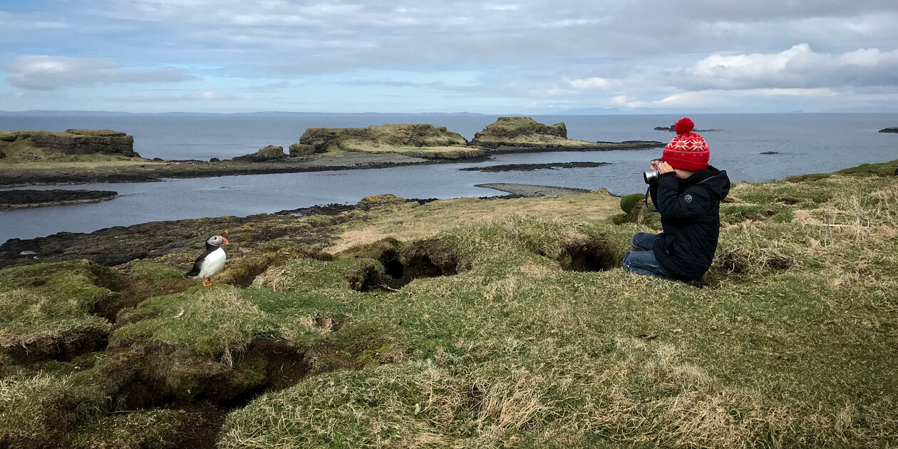 Garçon photographiant un macareux sur l'île de Lunga - Hébrides intérieures - Ecosse - Royaume Uni