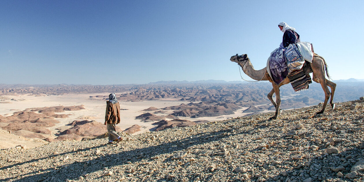 Scène de vie dans le désert du Mont Sinaï - Egypte