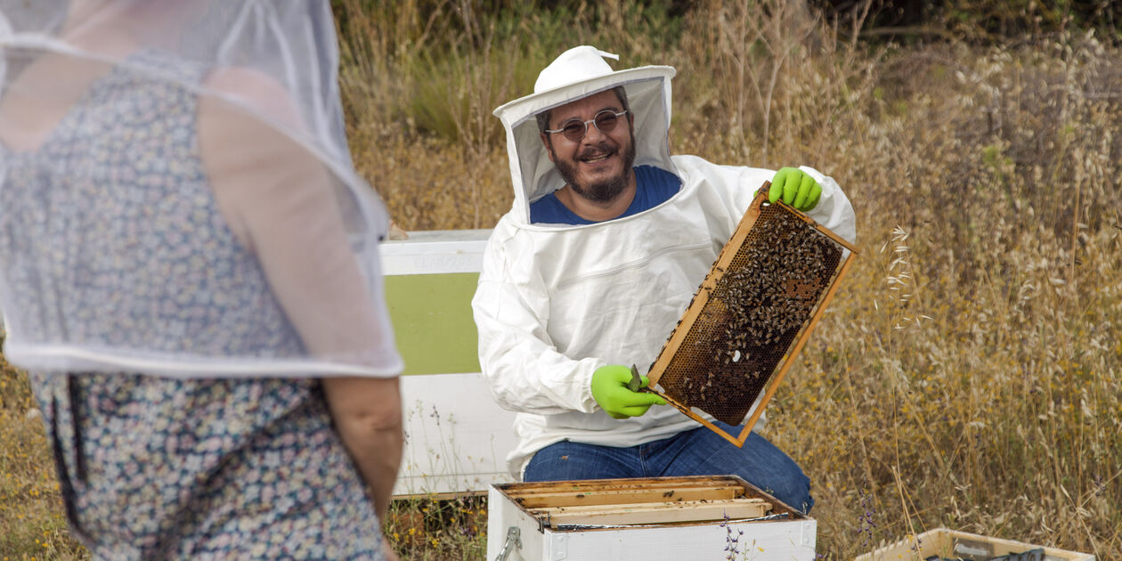 Dans la peau d'un apiculteur - Nauplie - Péloponnèse - Grèce