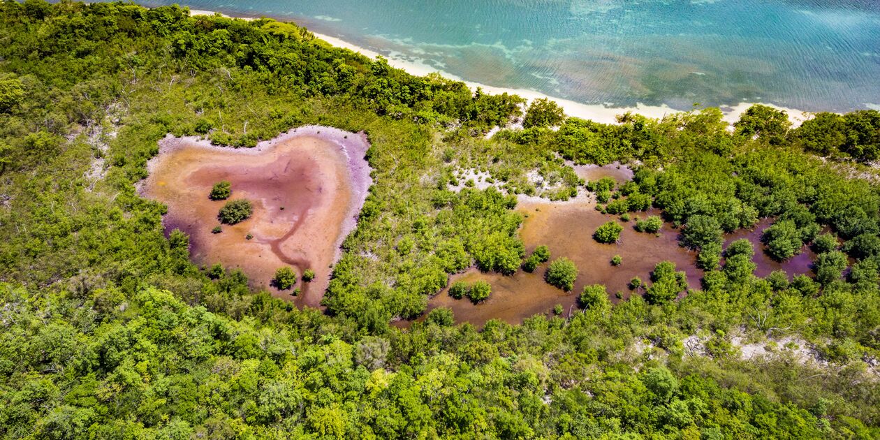 Anse du Gris-Gris - Grand Cul-de-Sac marin - Guadeloupe