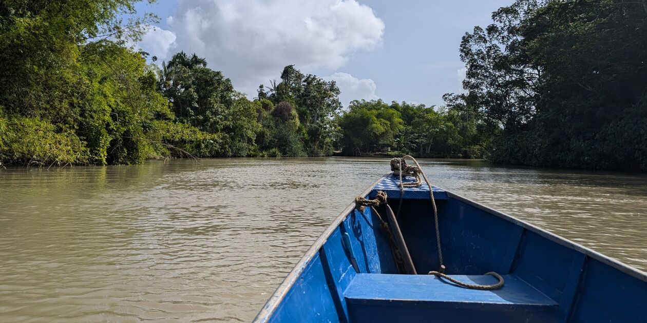 Le fleuve Maroni au fil de l'eau en pirogue - Saint Laurent du Maroni - Guyane