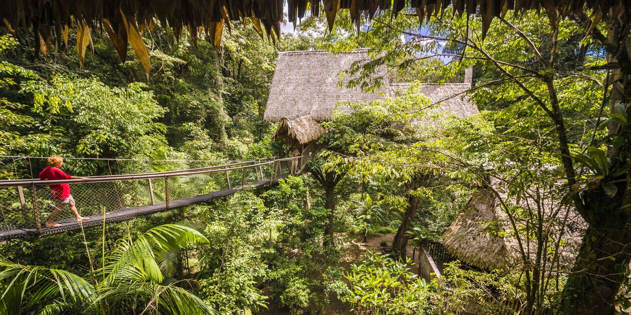 Camp Canopée, carbet dans la jungle - Guyane
