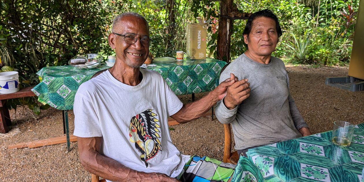 Découverte de la botanique avec un guide à Saint Laurent du Maroni - Guyane