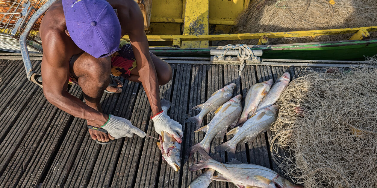 Rencontre avec des pêcheurs - Kourou - Guyane