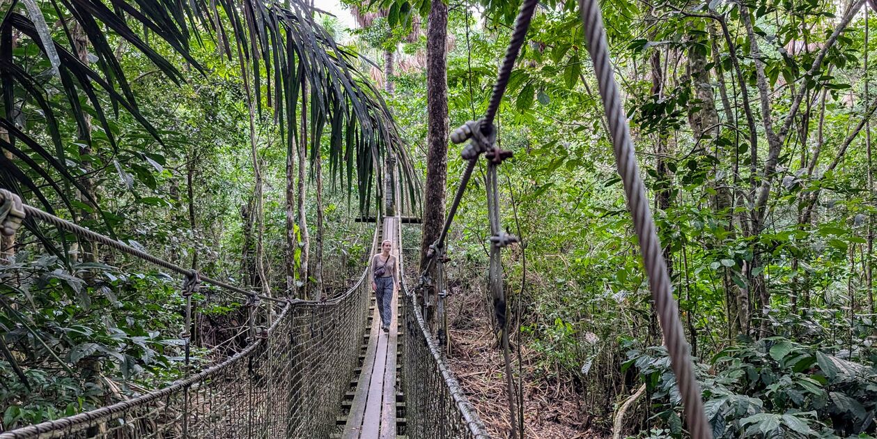 Pont suspendu au zoo de Cayenne - Guyane