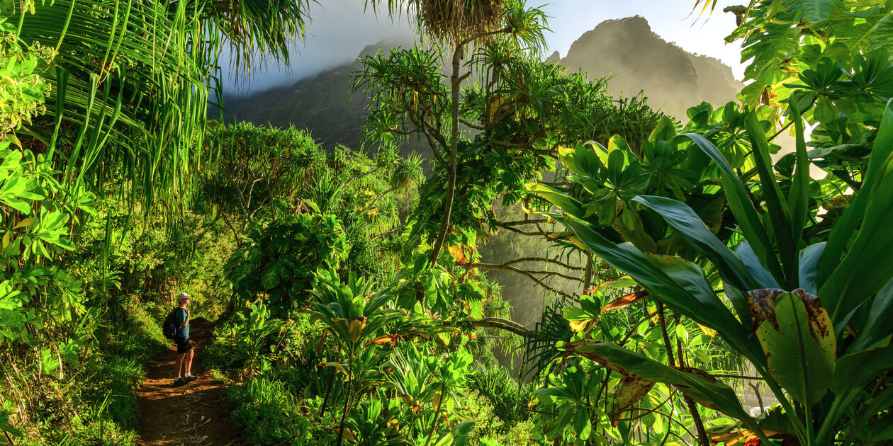 Randonnée sur l'île de Kauai - Hawaii - Etats-Unis