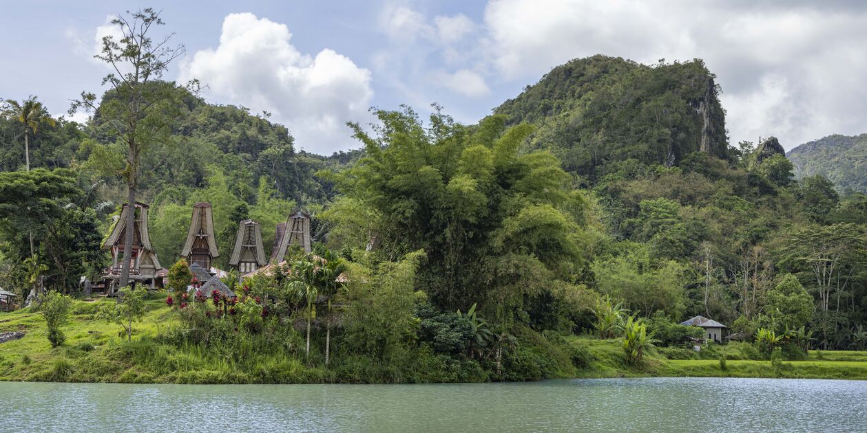 Pays des Toraja : Tongkonan, maisons traditionnelles - Région de Rantepao - Célèbes - Indonésie