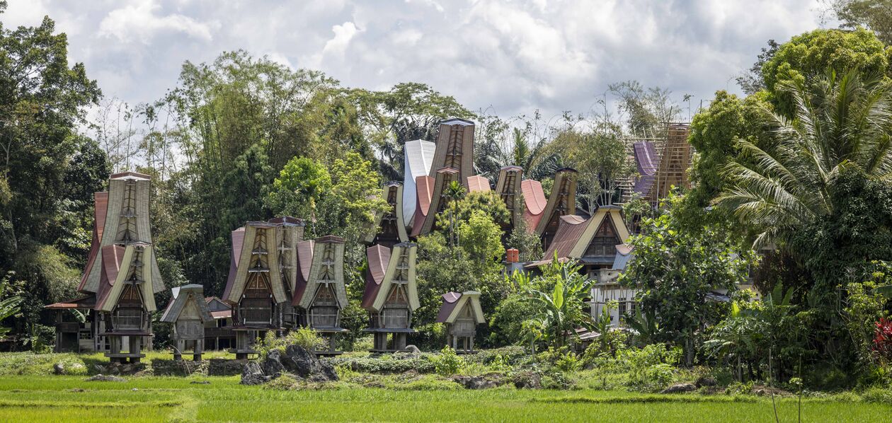 Pays des Toraja : Tongkonan, maisons traditionnelles - Région de Rantepao - Célèbes - Indonésie