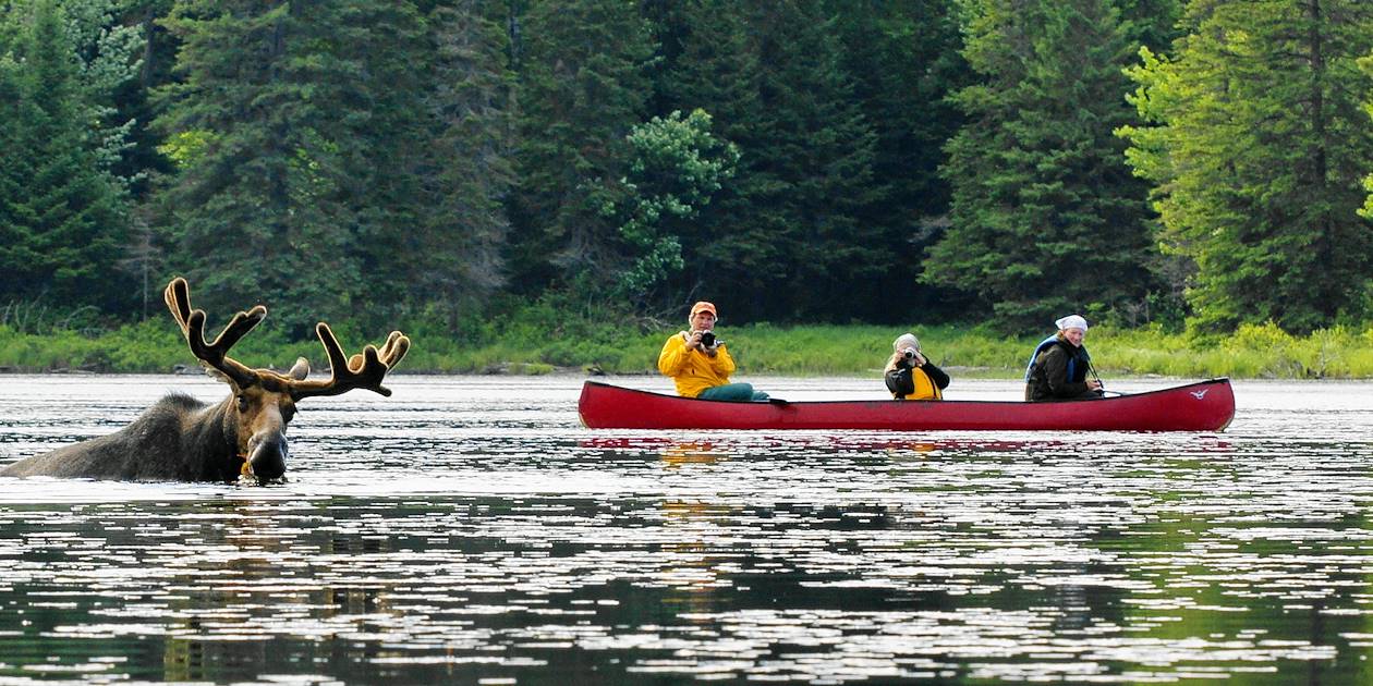 Parc Algonquin - Muskoka - Ontario - Canada