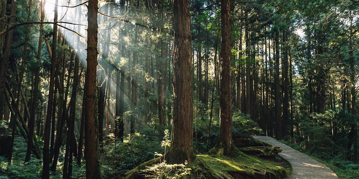 Alishan - Chiayi - Taïwan