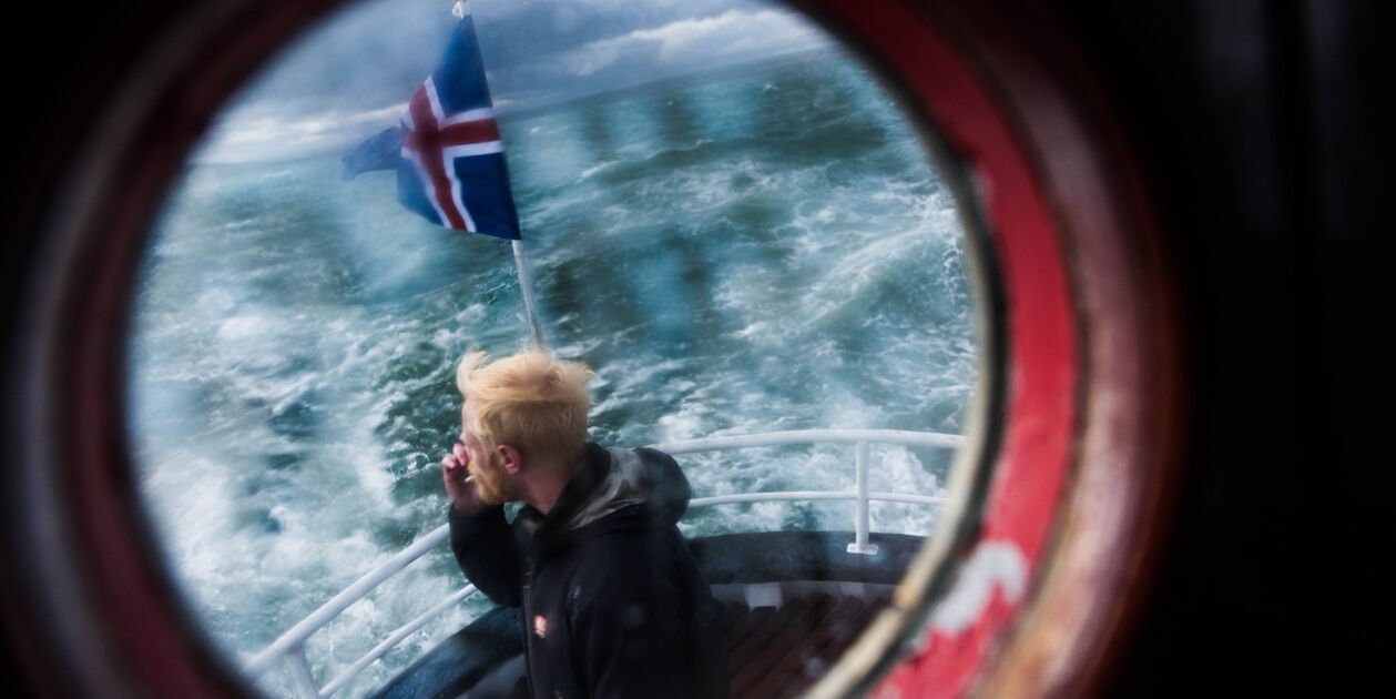 Observation des phoques - Hvammstangi - Islande