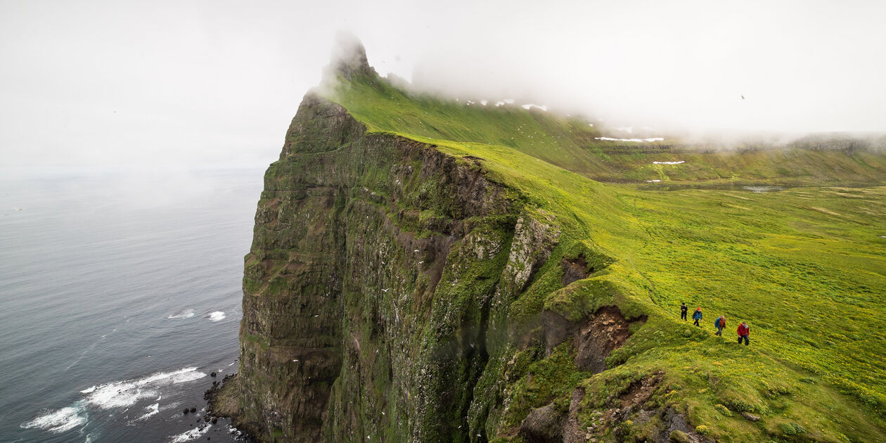 Falaise de Hornbjarg - Hornstrandir - Islande