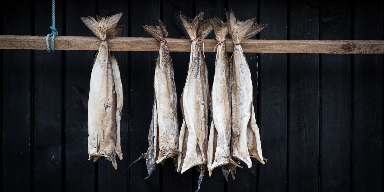 Séchoir à harengs - Islande