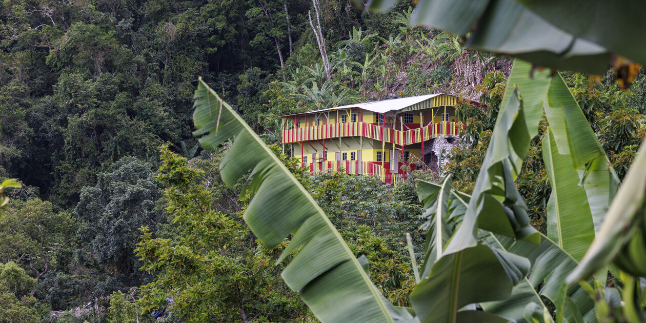 Rencontre avec la communauté "Rasta School of Vision" -  Blue Mountains - Portland - Jamaïque