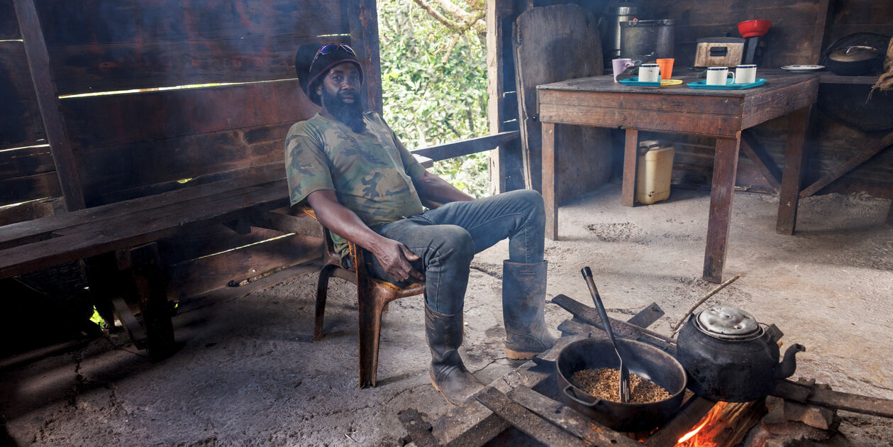 Découverte d'une plantation de café dans les Blue Mountains - Saint Andrew - Jamaïque