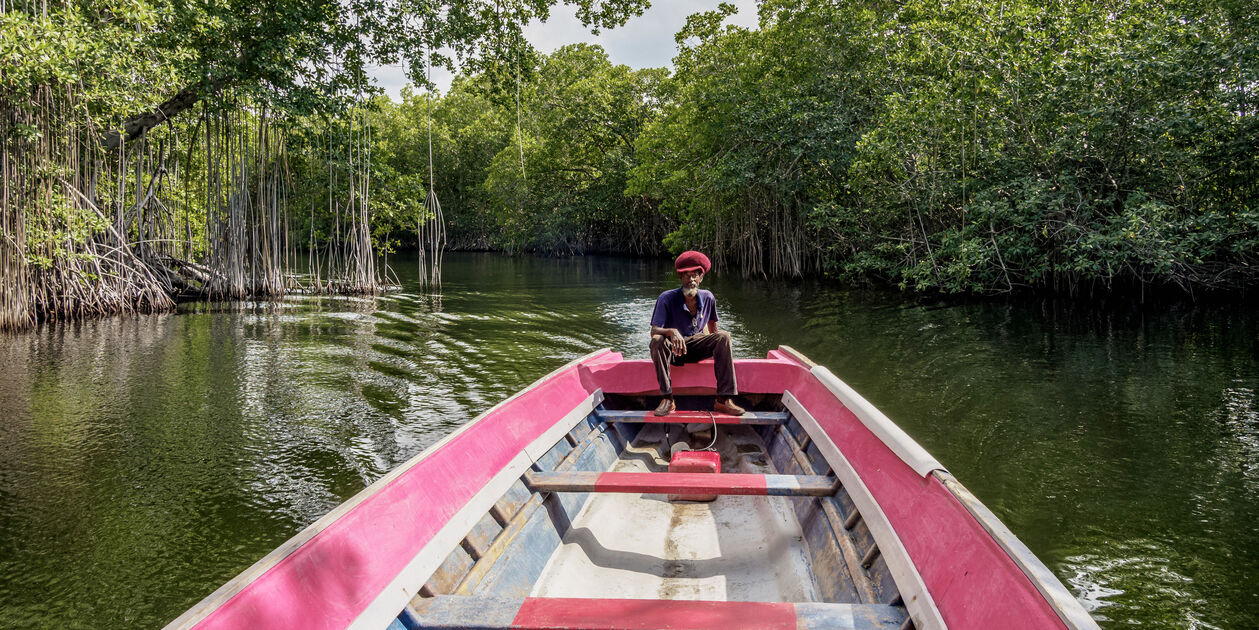 Black River - Saint Elizabeth - Jamaïque