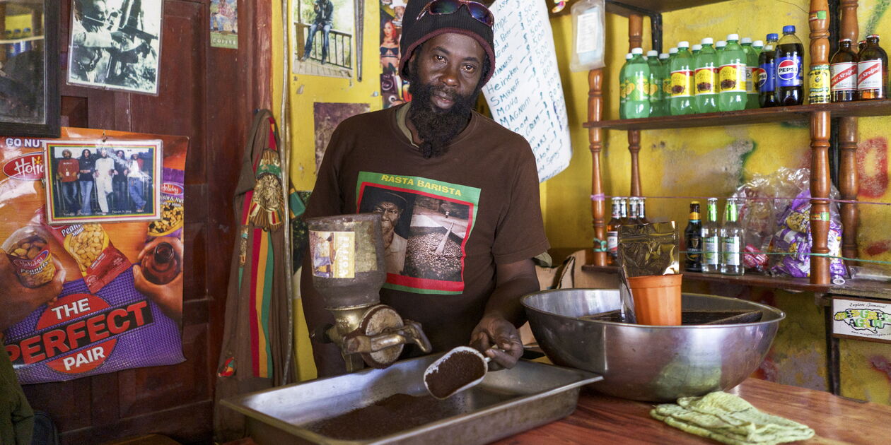 Découverte d'une plantation de café dans les Blue Mountains - Saint Andrew - Jamaïque