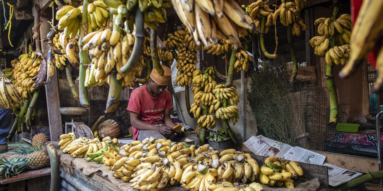 Marchand de bananes sur l'île de Lamu - Kenya
