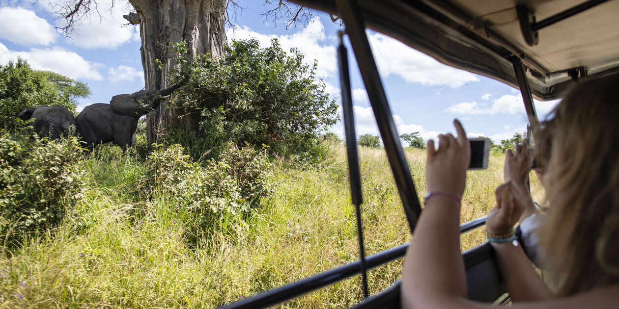 Safari au Kenya