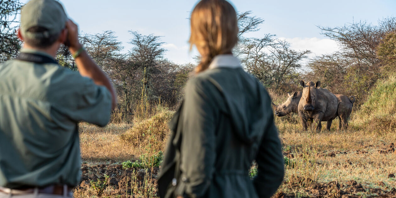 Safari à pied : rencontre avec les rhinocéros du Kenya