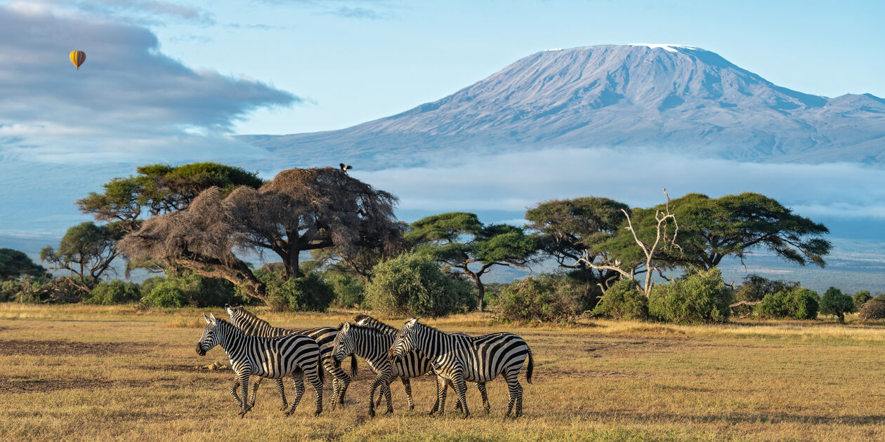 Parc national d'Amboseli - Kenya